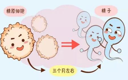 北京针对不孕症的三代试管，费用多少？（最新助孕成功率参考）