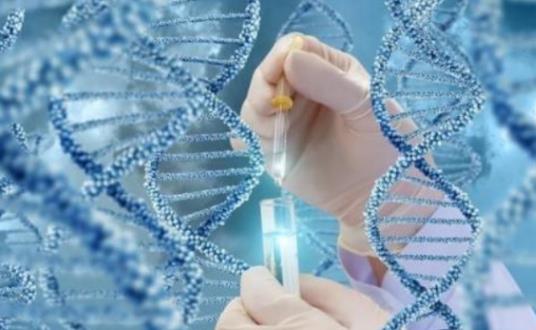 泰国试管婴儿流程详解：一般需要多久时间才能成功？（<a href=https://cef.upreggnt.com/news/ target=_blank class=infotextkey>三代试管</a>哪家好求推荐）